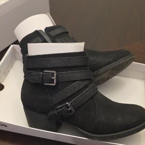 Sonoma Women's Black Ankle Boots